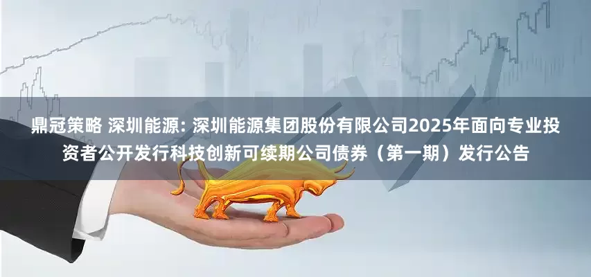鼎冠策略 深圳能源: 深圳能源集团股份有限公司2025年面向专业投资者公开发行科技创新可续期公司债券（第一期）发行公告