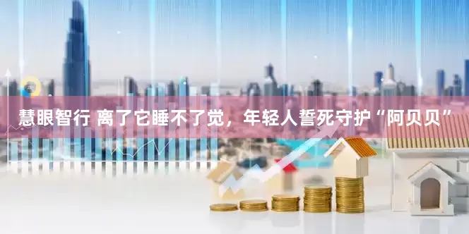 慧眼智行 离了它睡不了觉，年轻人誓死守护“阿贝贝”