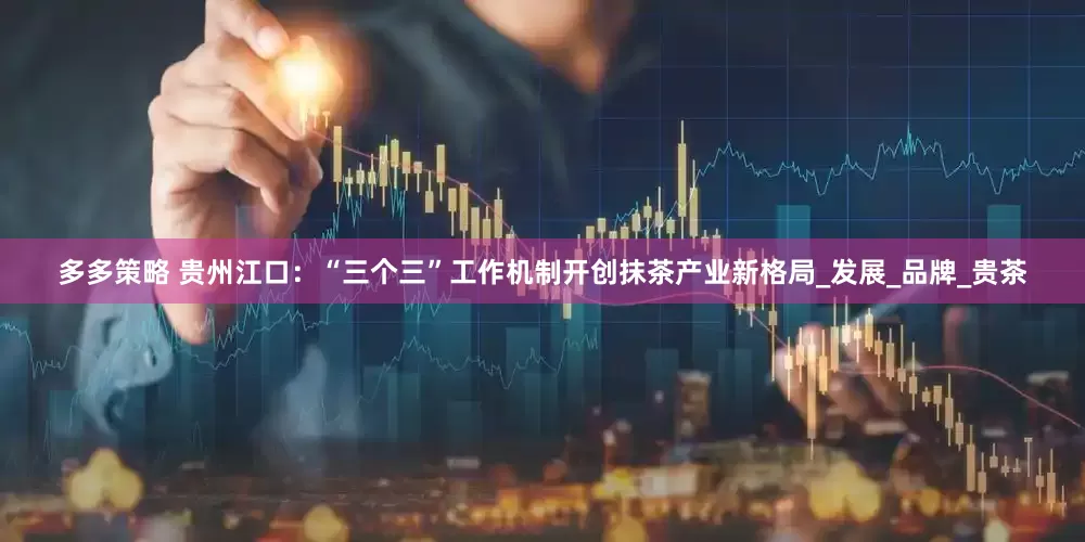 多多策略 贵州江口：“三个三”工作机制开创抹茶产业新格局_发展_品牌_贵茶