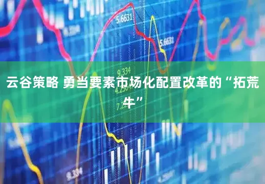 云谷策略 勇当要素市场化配置改革的“拓荒牛”