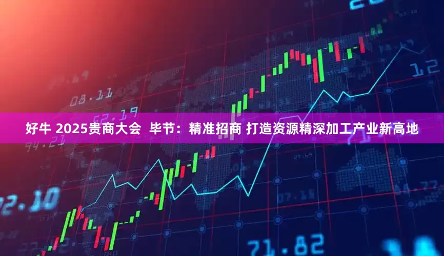 好牛 2025贵商大会  毕节：精准招商 打造资源精深加工产业新高地